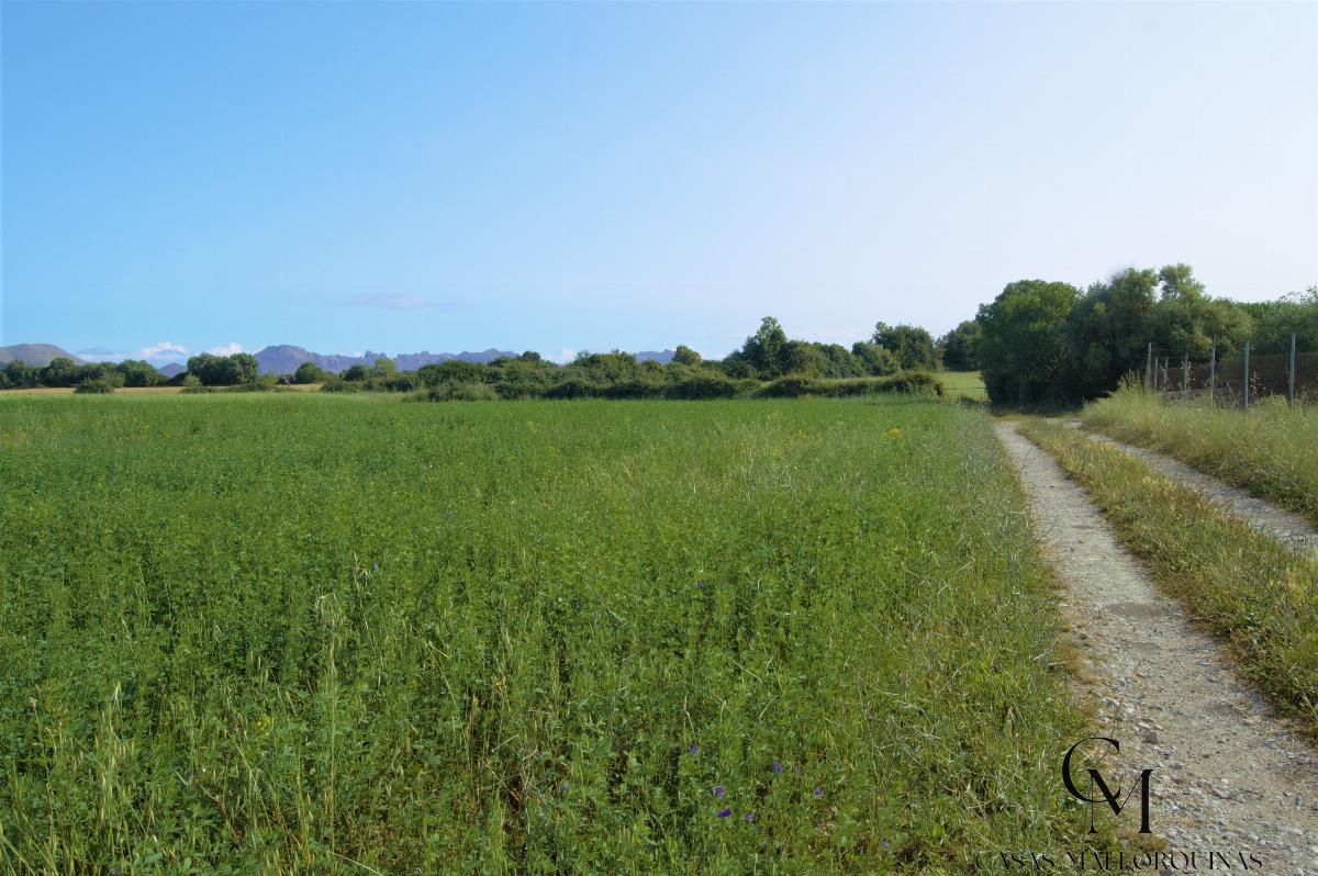Venta de terreno en Alcúdia