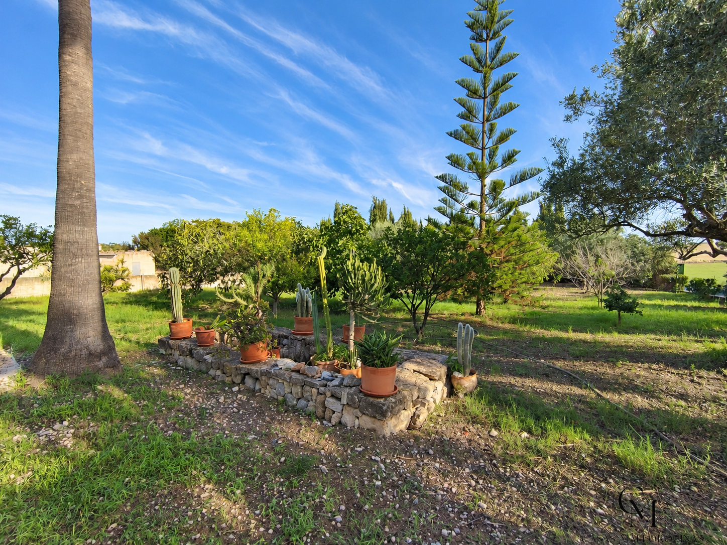Venta de finca rústica en Santa Margalida