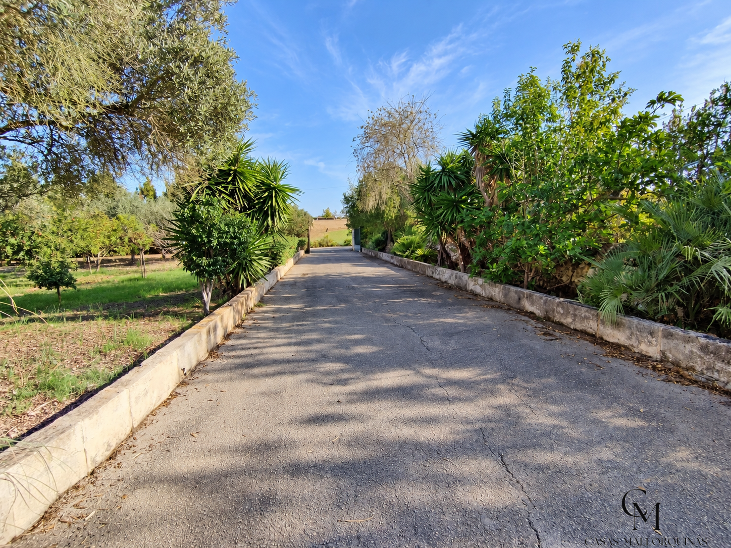 Venta de finca rústica en Santa Margalida