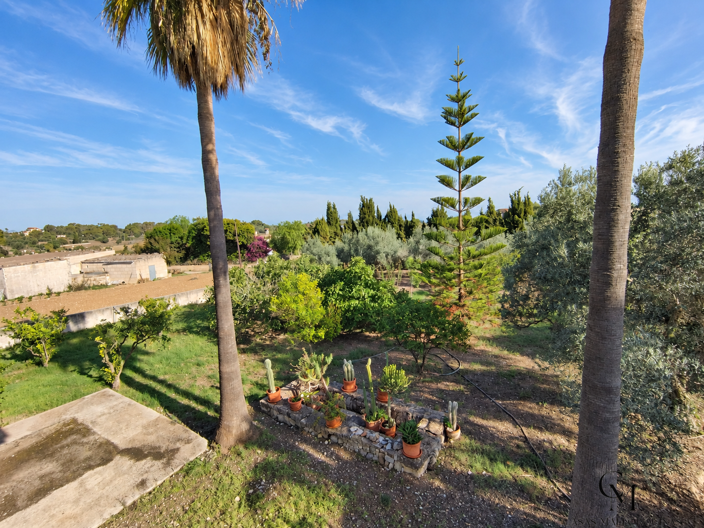 Venta de finca rústica en Santa Margalida