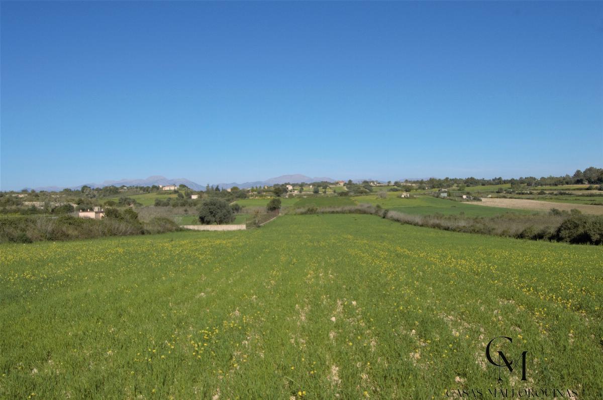 Venta de terreno en Santa Margalida