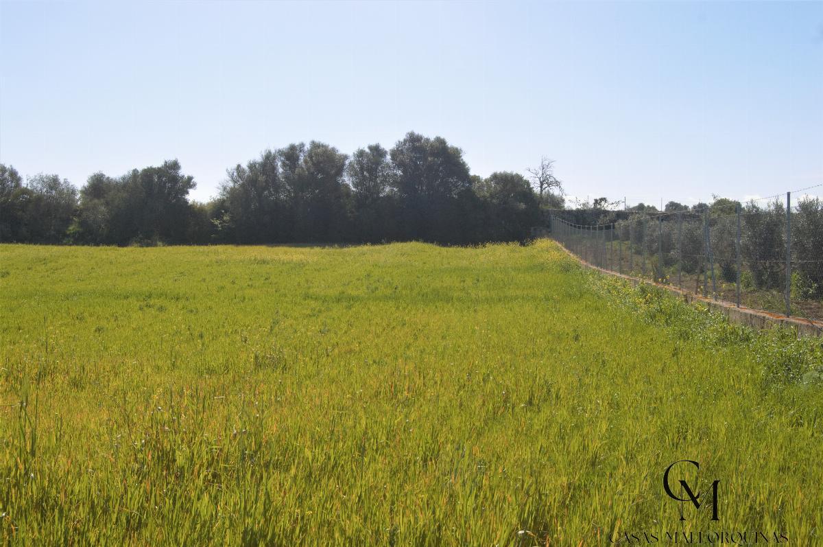 Venta de terreno en Santa Margalida