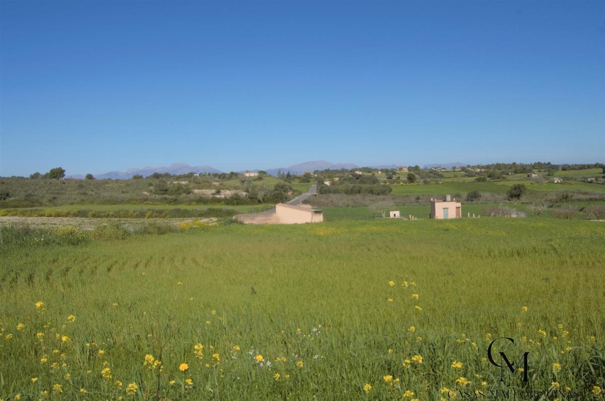 Venta de terreno en Santa Margalida