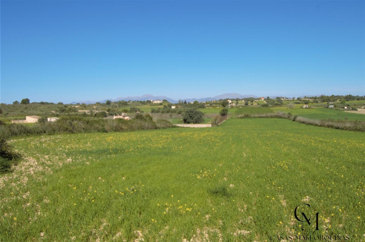 Venta de terreno en Santa Margalida