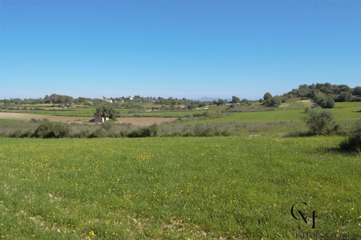 Venta de terreno en Santa Margalida