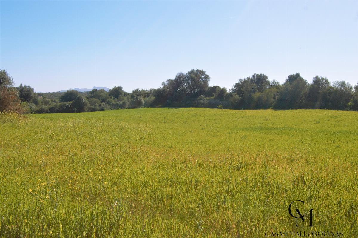 Venta de terreno en Santa Margalida