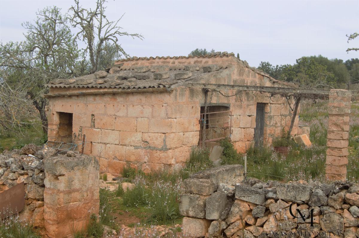 For sale of land in Santa Margalida