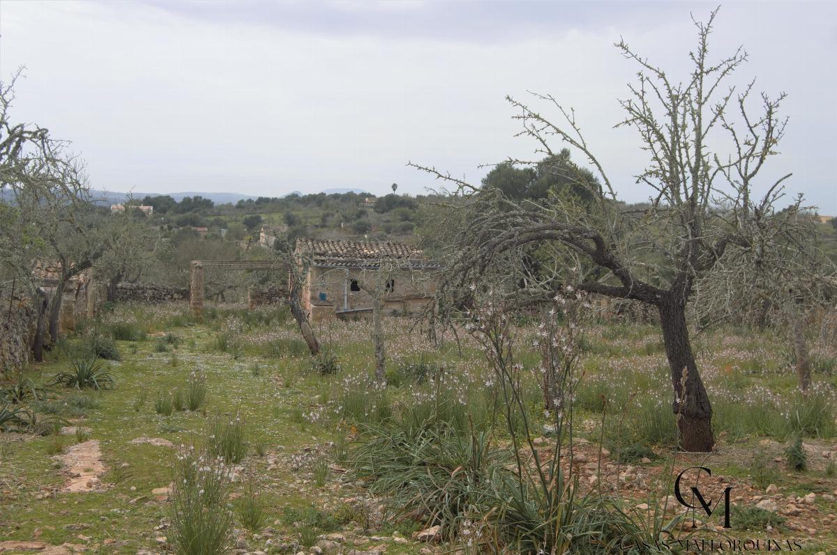For sale of land in Santa Margalida