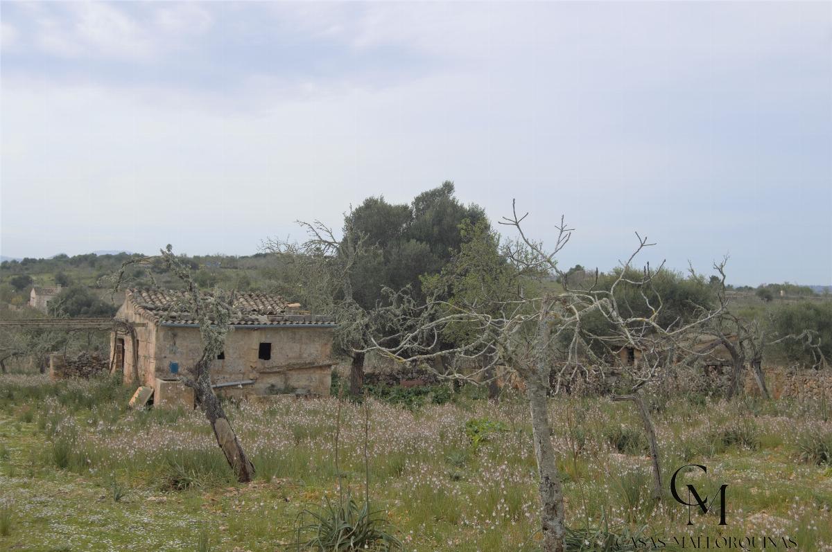 Venta de terreno en Santa Margalida