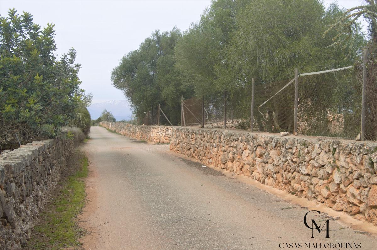 For sale of land in Santa Margalida