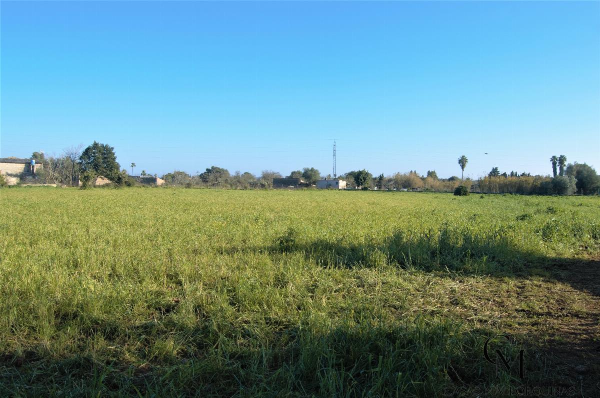 For sale of chalet in Búger