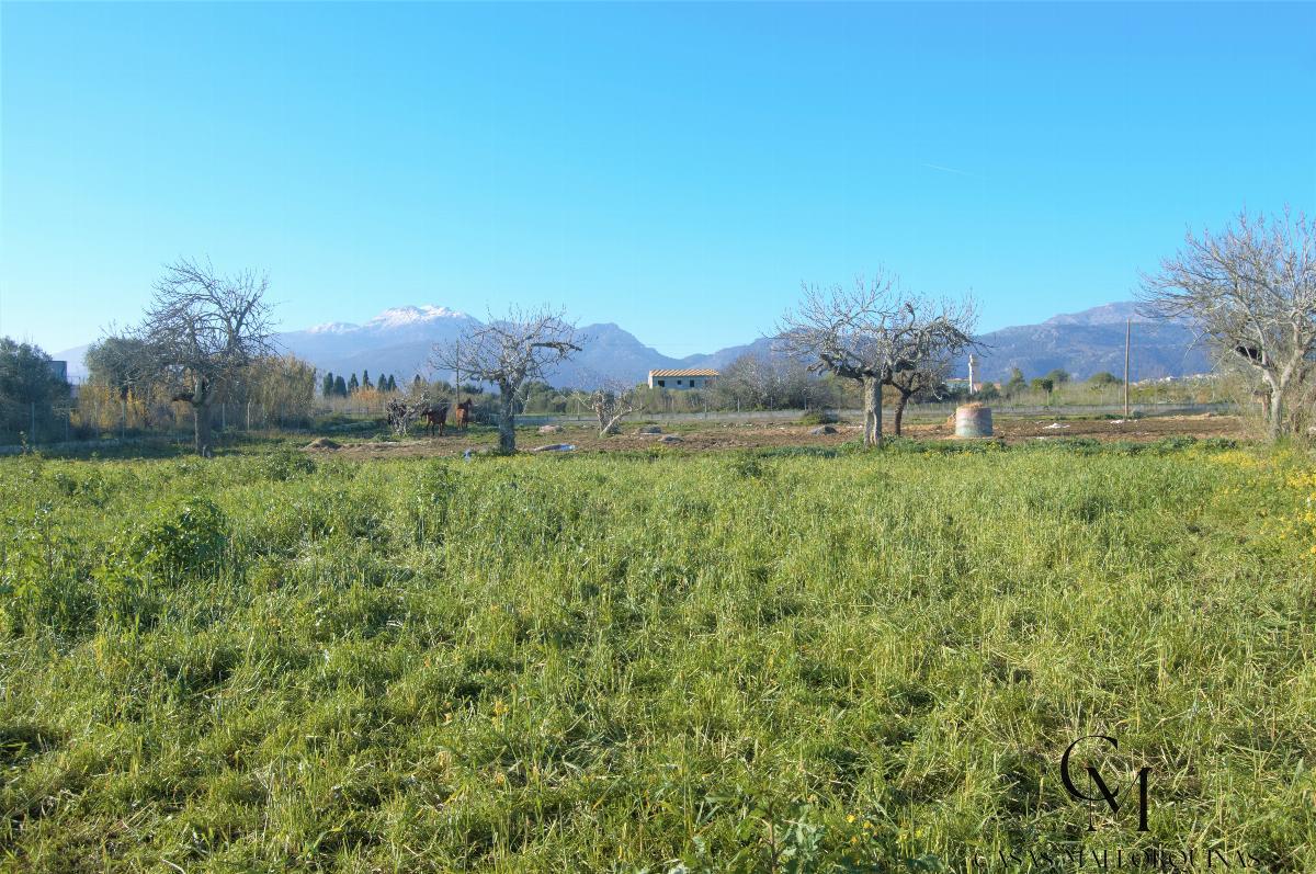 For sale of chalet in Búger