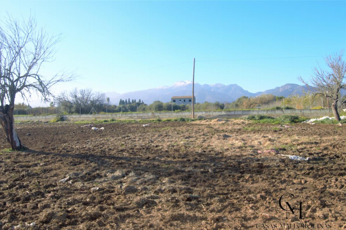 For sale of chalet in Búger