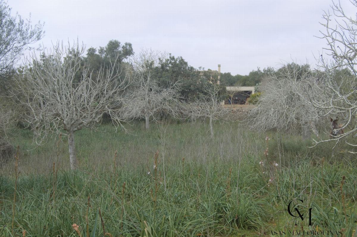 Zu verkaufen von grundstück in
 Santa Margalida