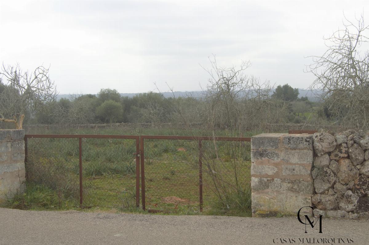 Zu verkaufen von grundstück in
 Santa Margalida