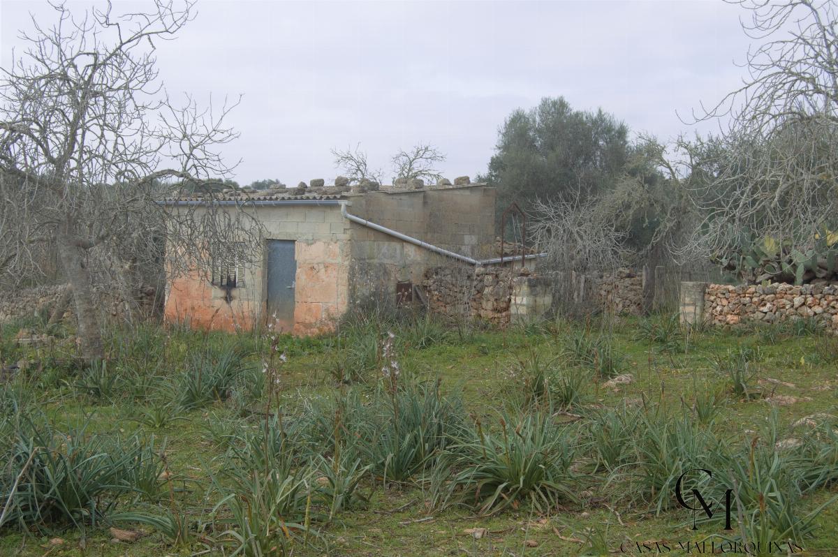 Zu verkaufen von grundstück in
 Santa Margalida