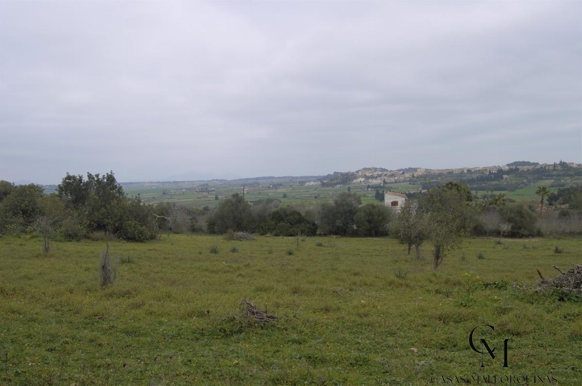 For sale of chalet in Maria de la Salut For sale of chalet in Maria de la Salut