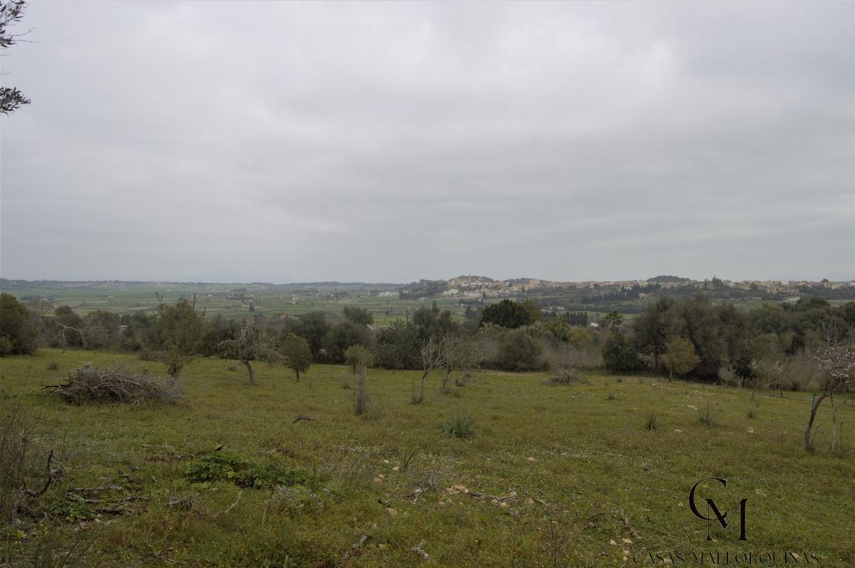 For sale of chalet in Maria de la Salut For sale of chalet in Maria de la Salut