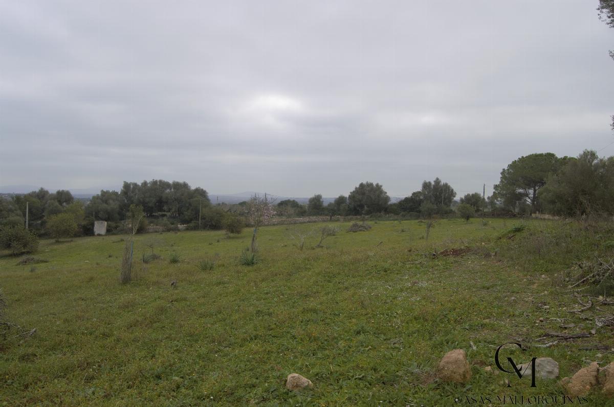 For sale of chalet in Maria de la Salut For sale of chalet in Maria de la Salut