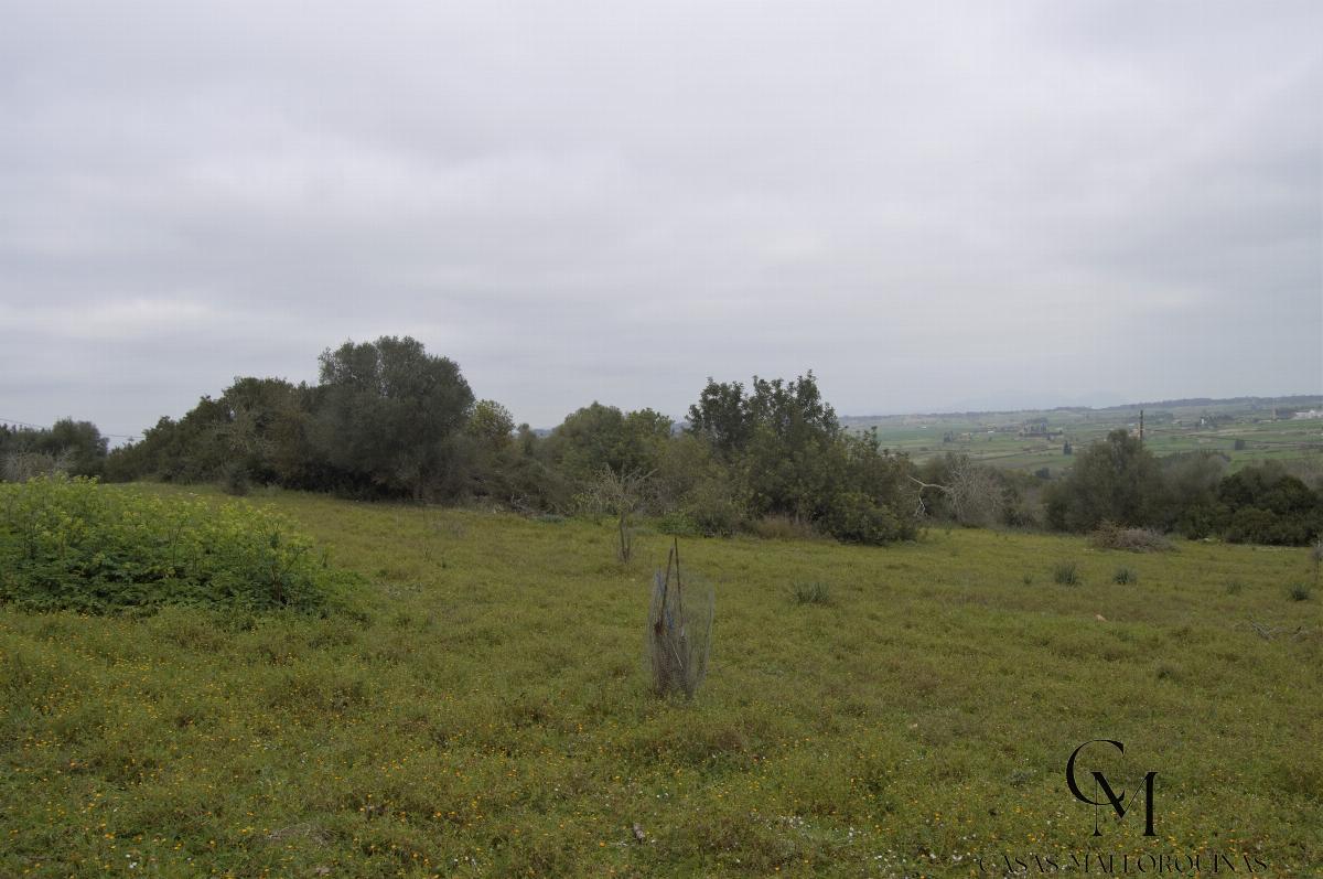For sale of chalet in Maria de la Salut For sale of chalet in Maria de la Salut