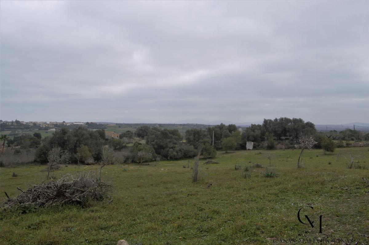 For sale of chalet in Maria de la Salut For sale of chalet in Maria de la Salut