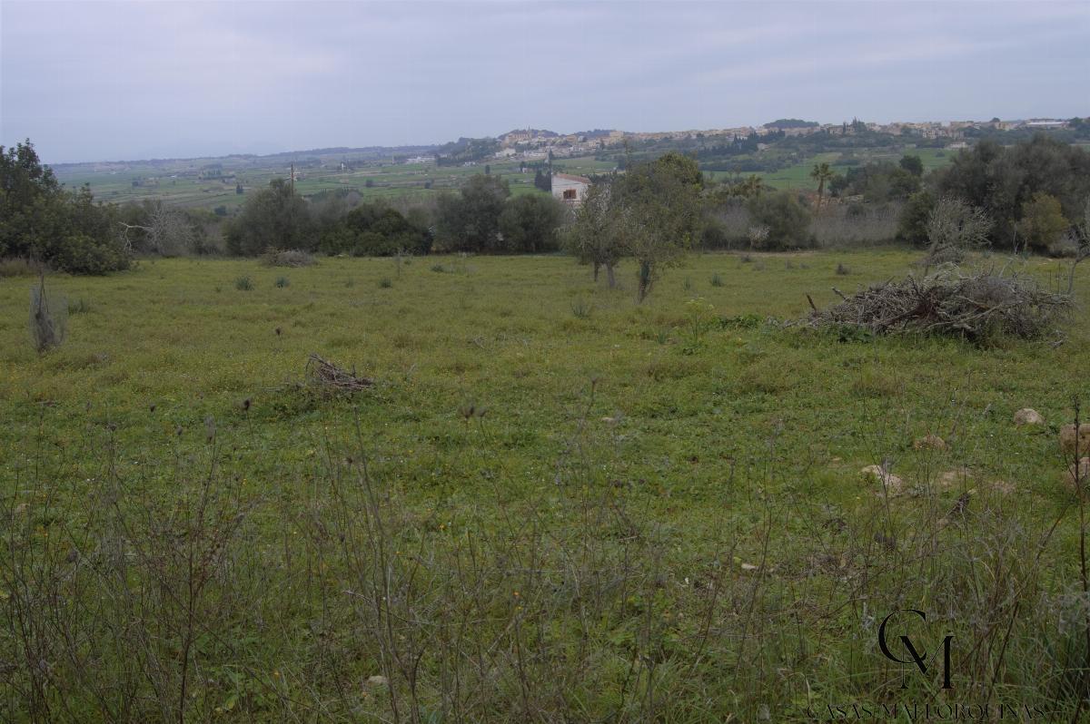 For sale of chalet in Maria de la Salut For sale of chalet in Maria de la Salut