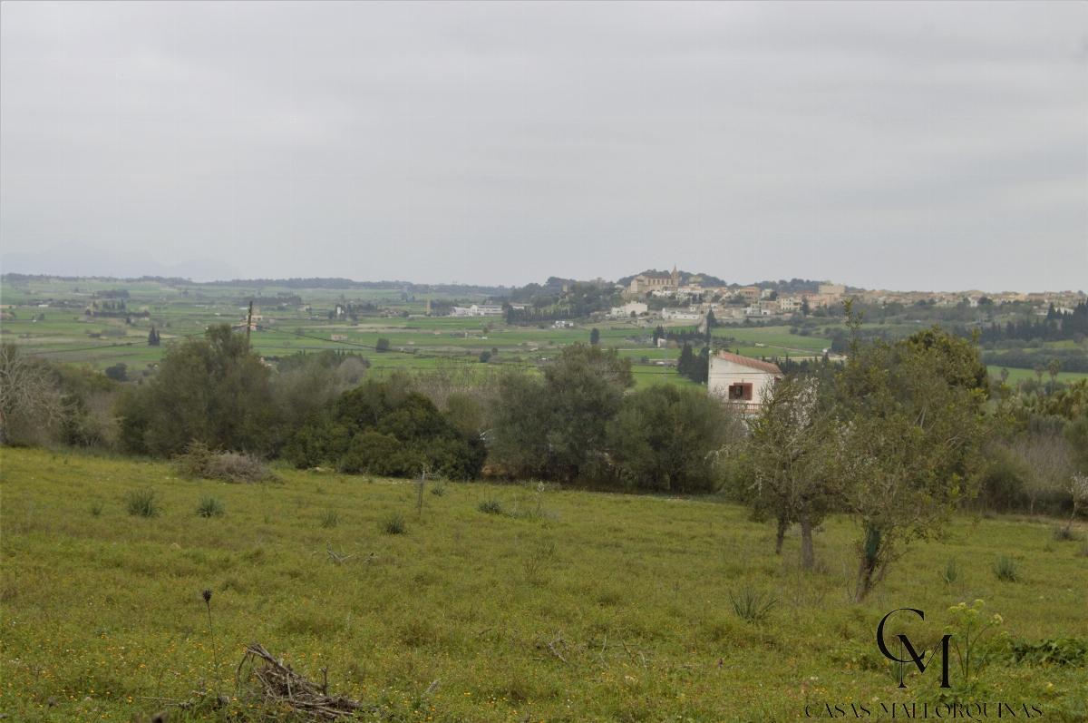 For sale of chalet in Maria de la Salut For sale of chalet in Maria de la Salut