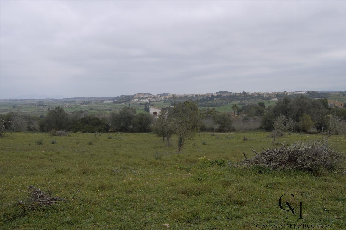 For sale of chalet in Maria de la Salut For sale of chalet in Maria de la Salut