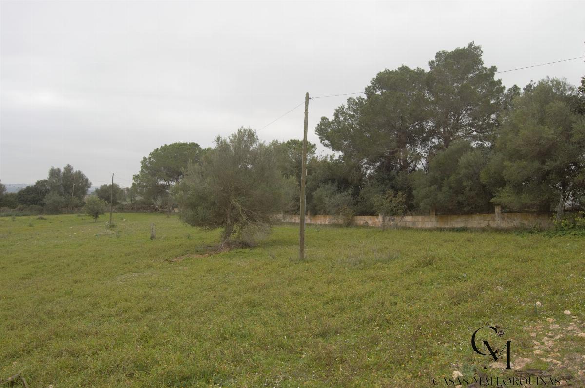 For sale of chalet in Maria de la Salut For sale of chalet in Maria de la Salut
