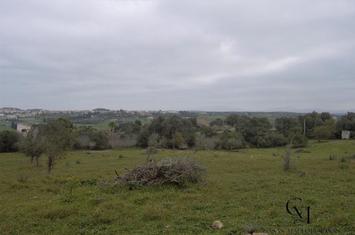 For sale of chalet in Maria de la Salut For sale of chalet in Maria de la Salut