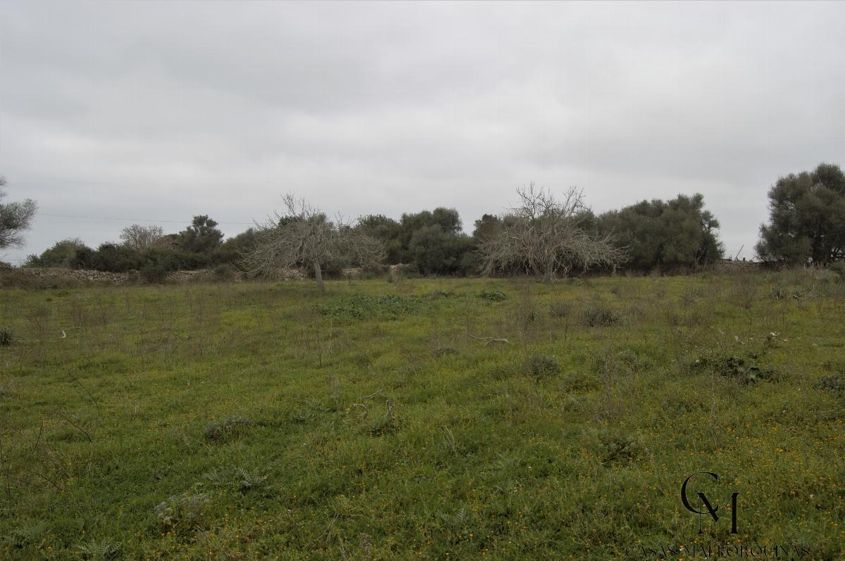 For sale of chalet in Maria de la Salut For sale of chalet in Maria de la Salut