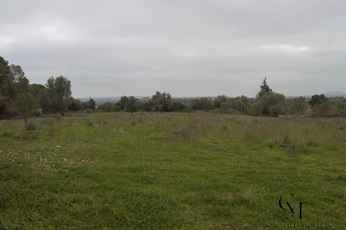 For sale of chalet in Maria de la Salut For sale of chalet in Maria de la Salut