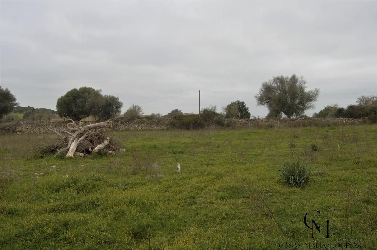 For sale of chalet in Maria de la Salut For sale of chalet in Maria de la Salut