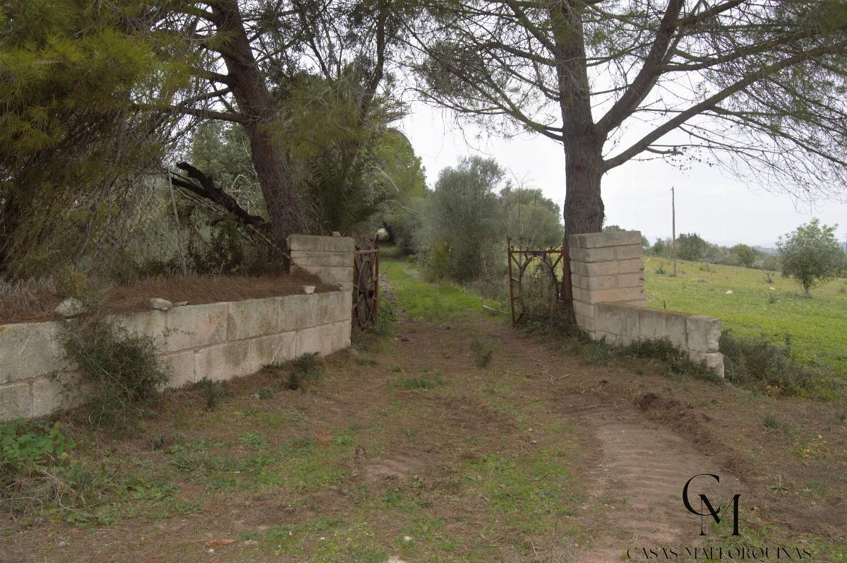 For sale of chalet in Maria de la Salut For sale of chalet in Maria de la Salut