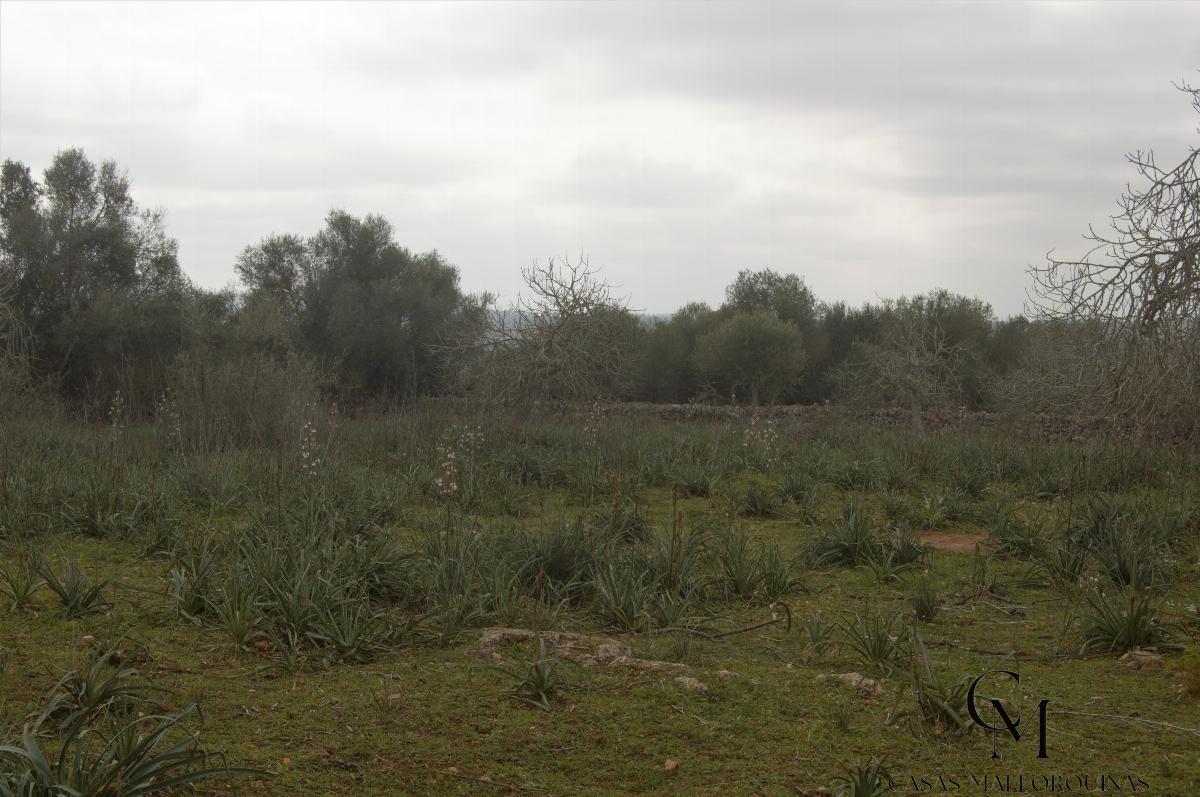 For sale of chalet in Maria de la Salut For sale of chalet in Maria de la Salut
