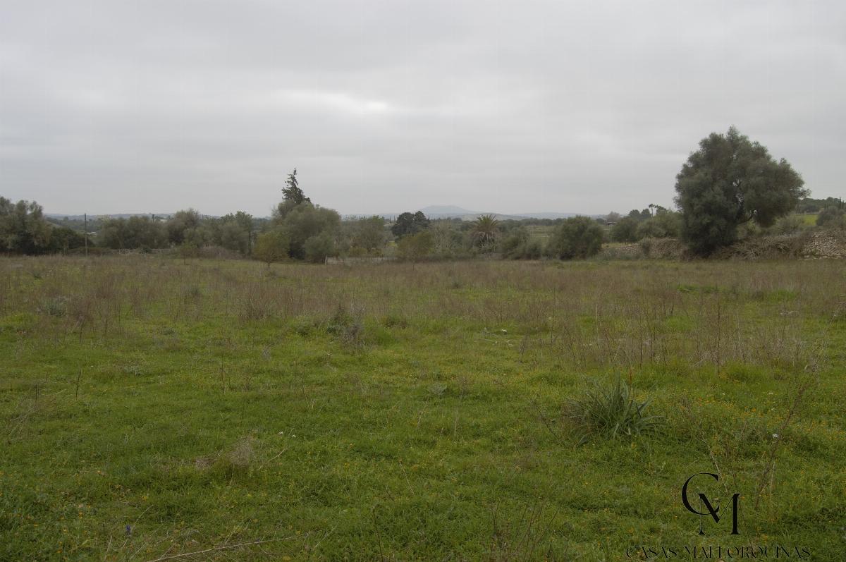 For sale of chalet in Maria de la Salut For sale of chalet in Maria de la Salut