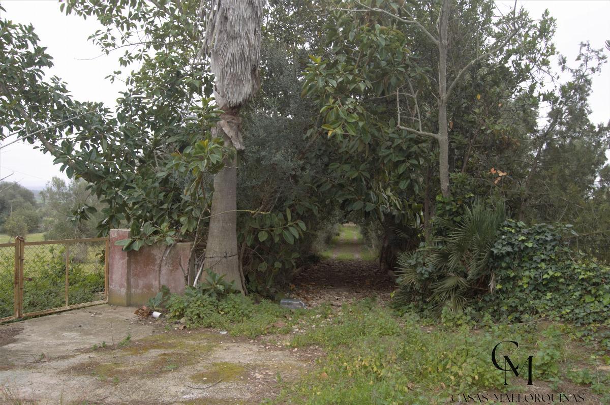 For sale of chalet in Maria de la Salut For sale of chalet in Maria de la Salut