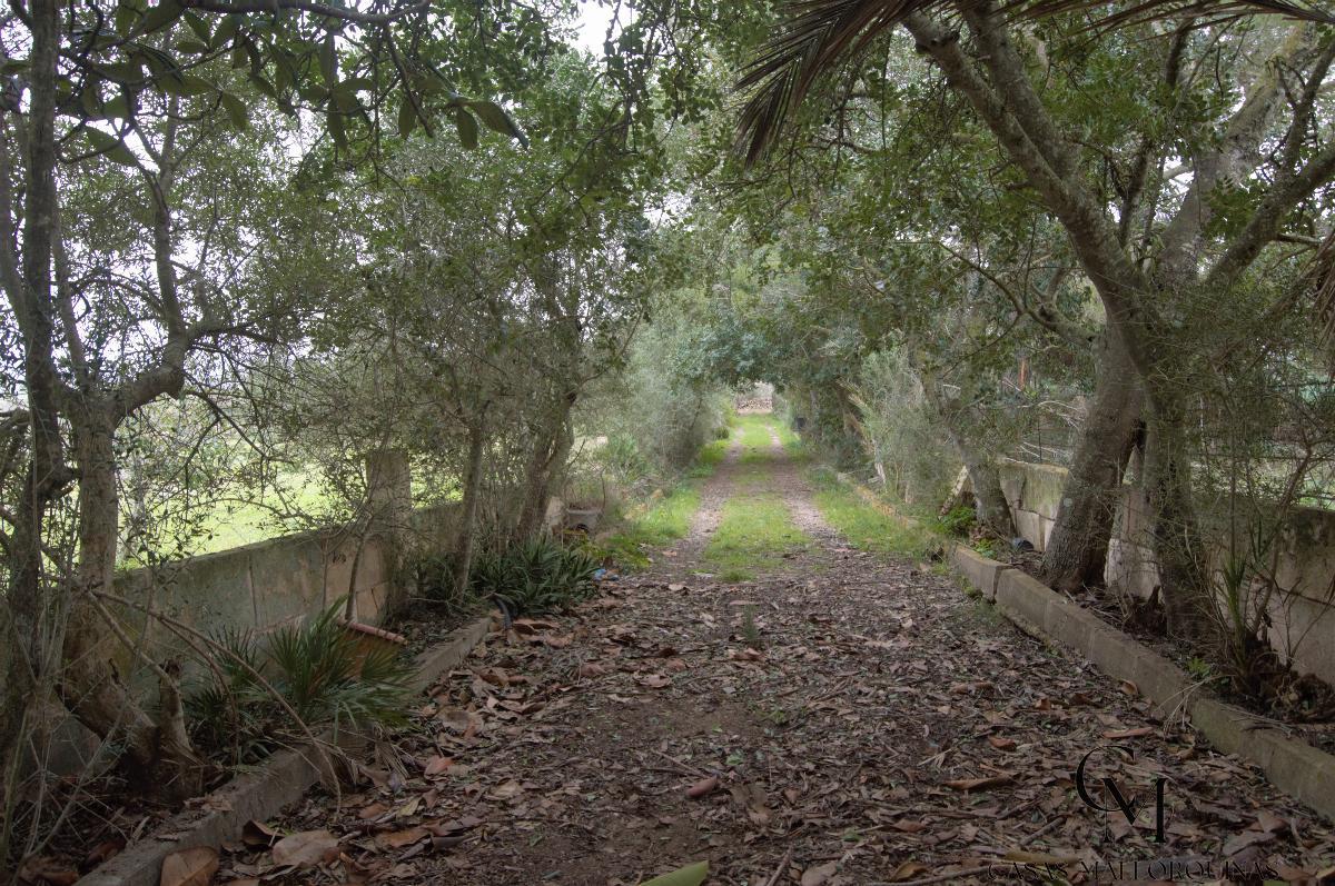 For sale of chalet in Maria de la Salut For sale of chalet in Maria de la Salut