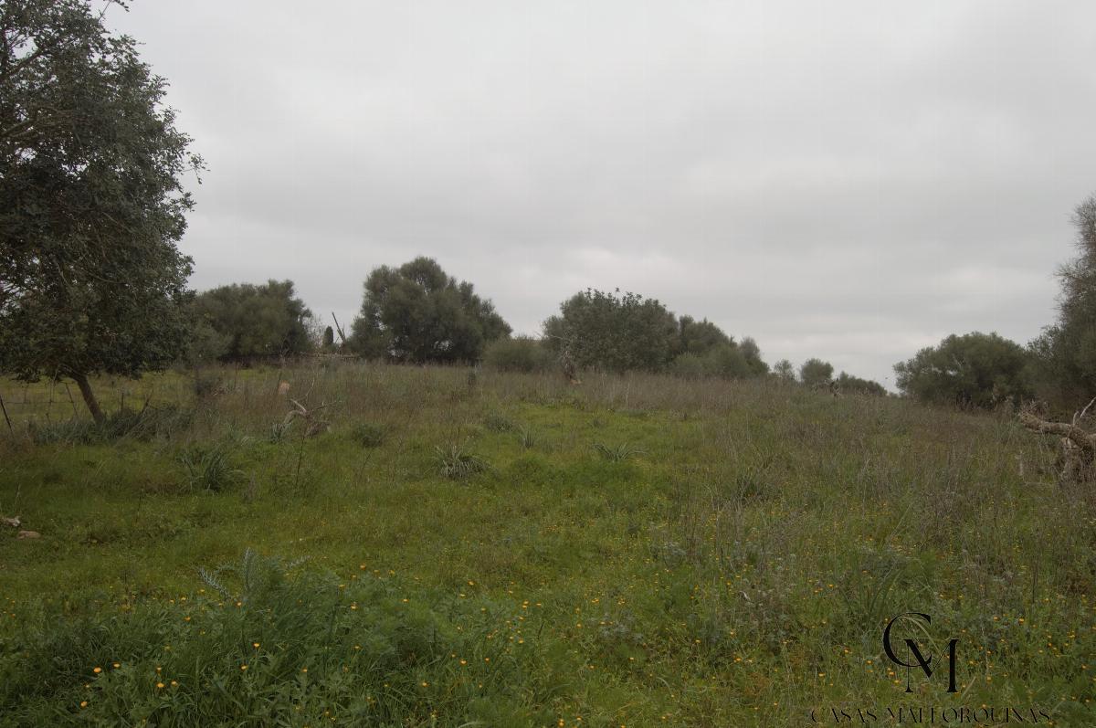 For sale of chalet in Maria de la Salut For sale of chalet in Maria de la Salut