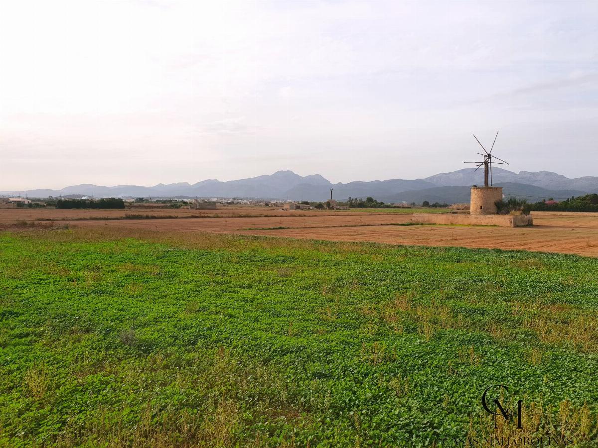 For sale of land in Sa Pobla