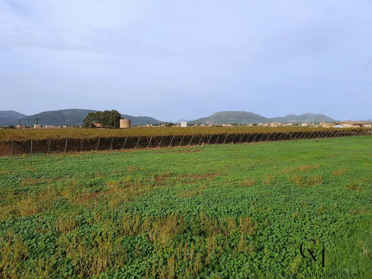 For sale of land in Sa Pobla