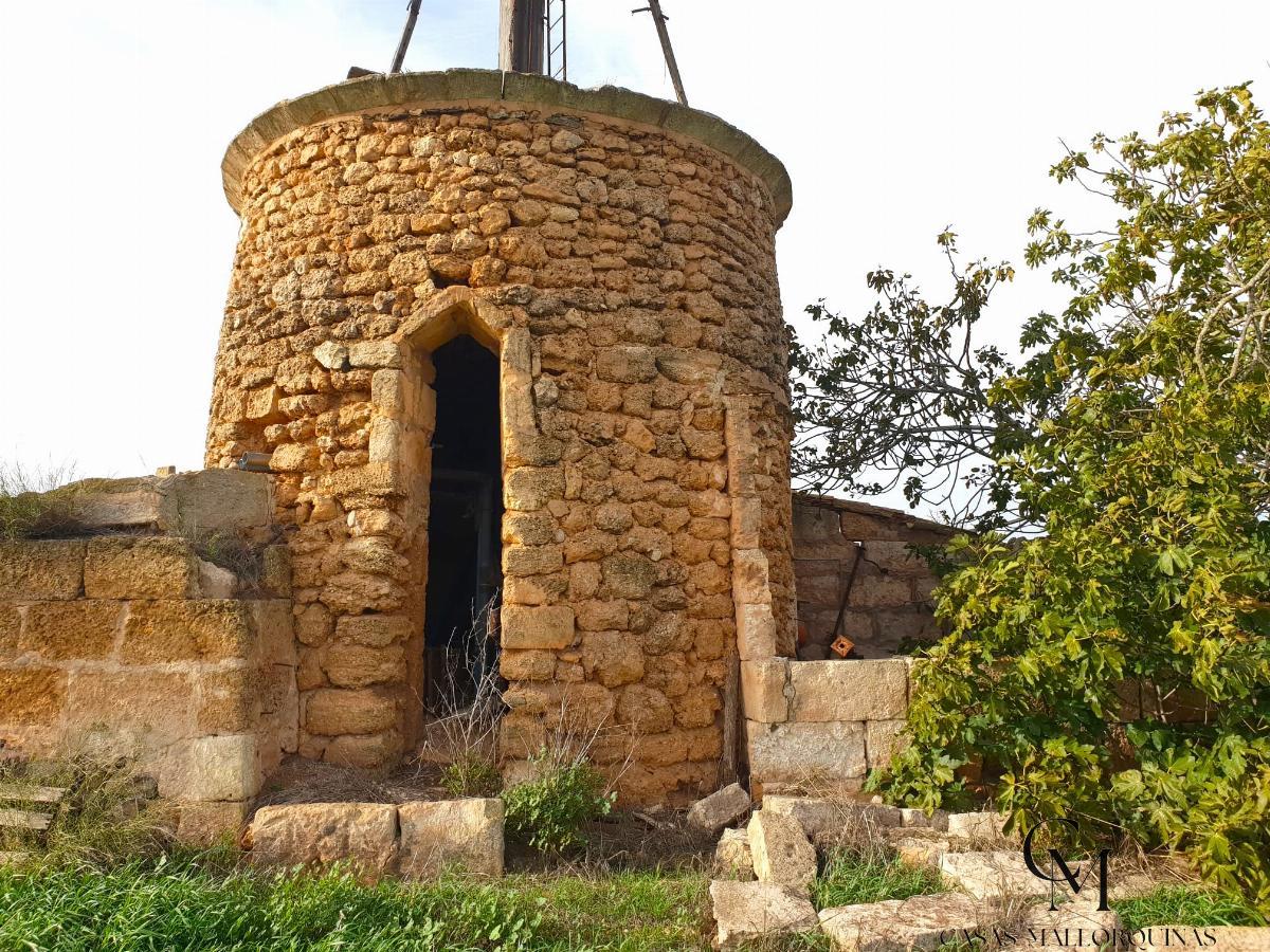 For sale of land in Sa Pobla