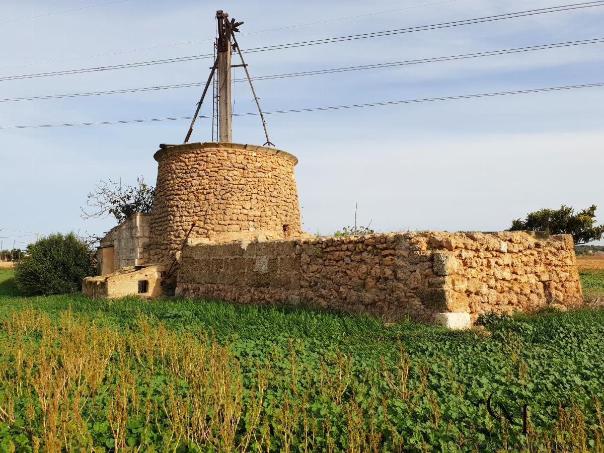 For sale of land in Sa Pobla