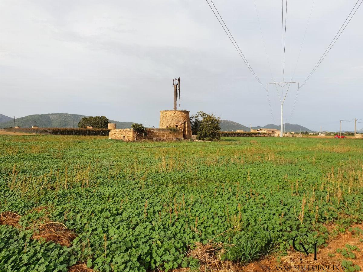 For sale of land in Sa Pobla