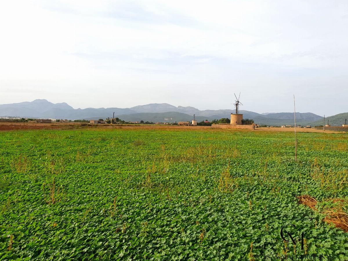 For sale of land in Sa Pobla