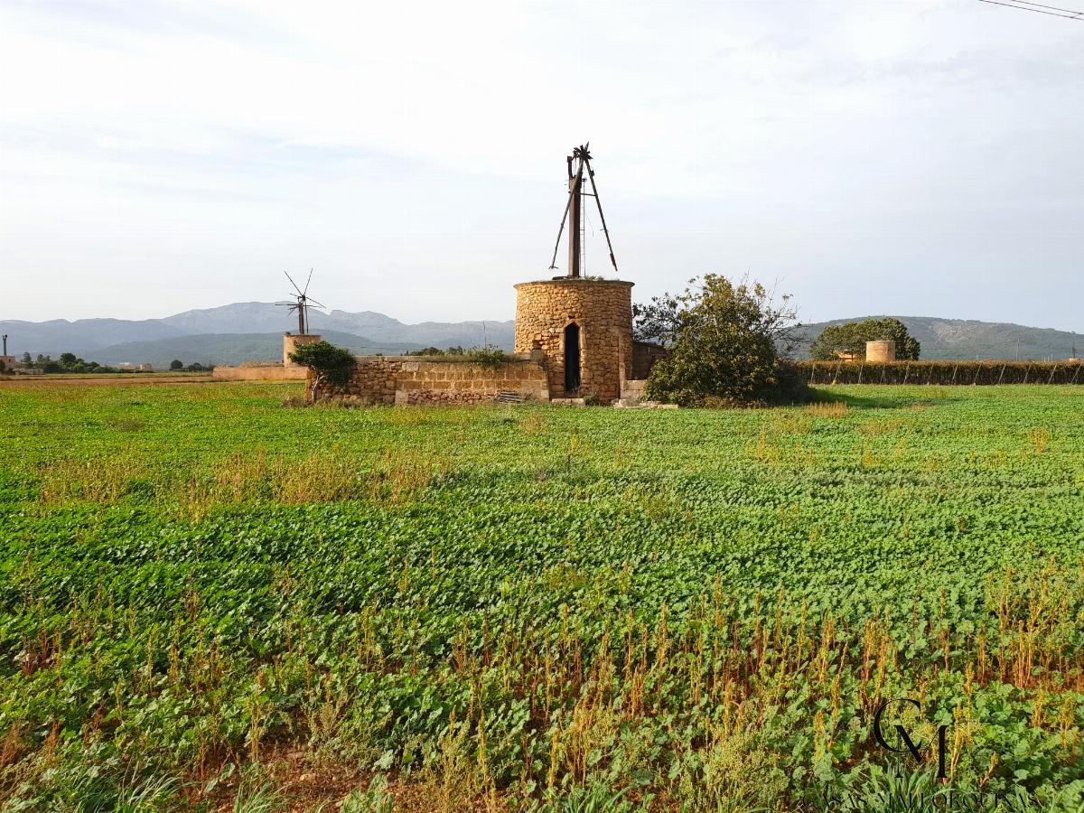 For sale of land in Sa Pobla
