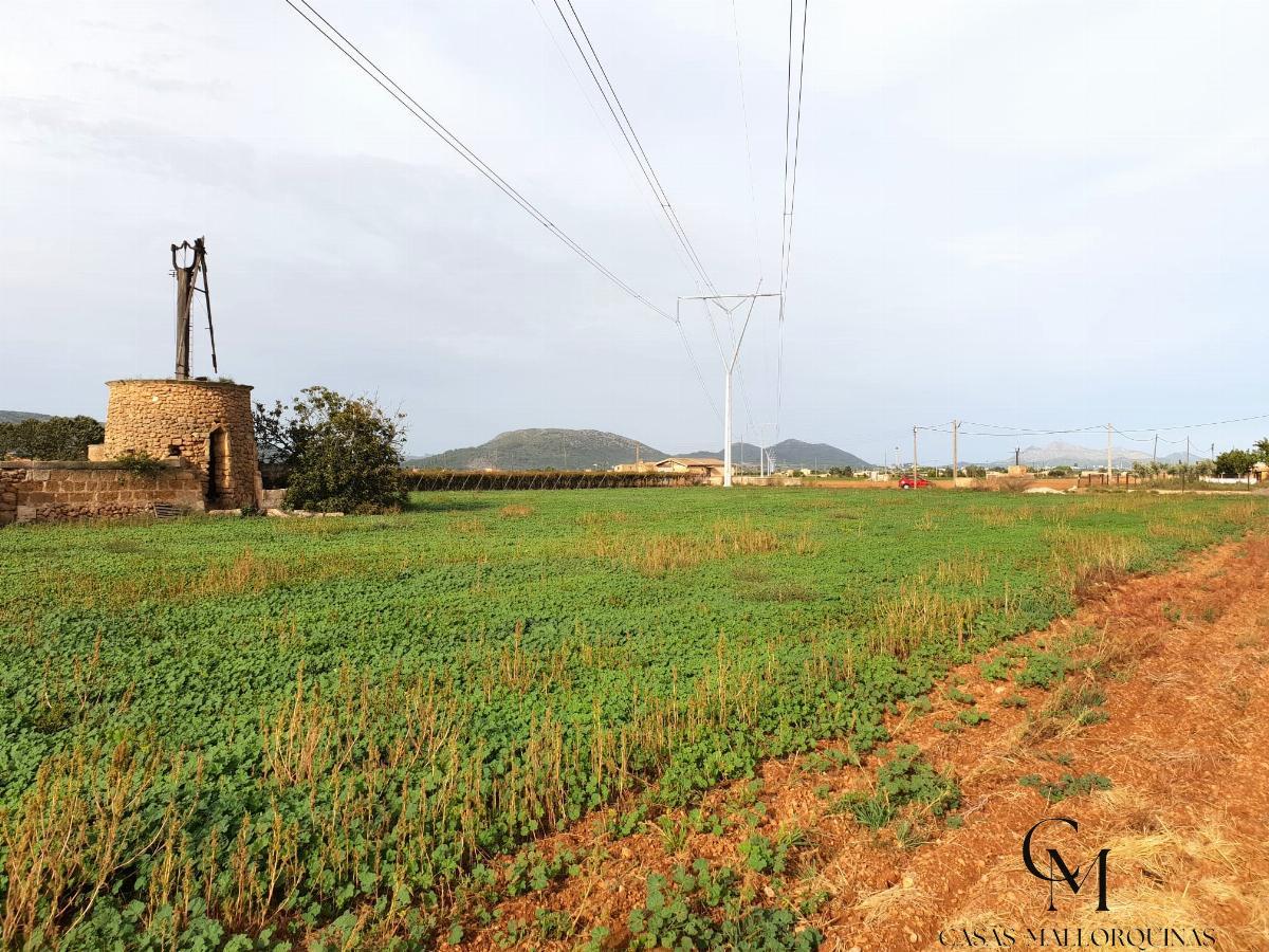 For sale of land in Sa Pobla