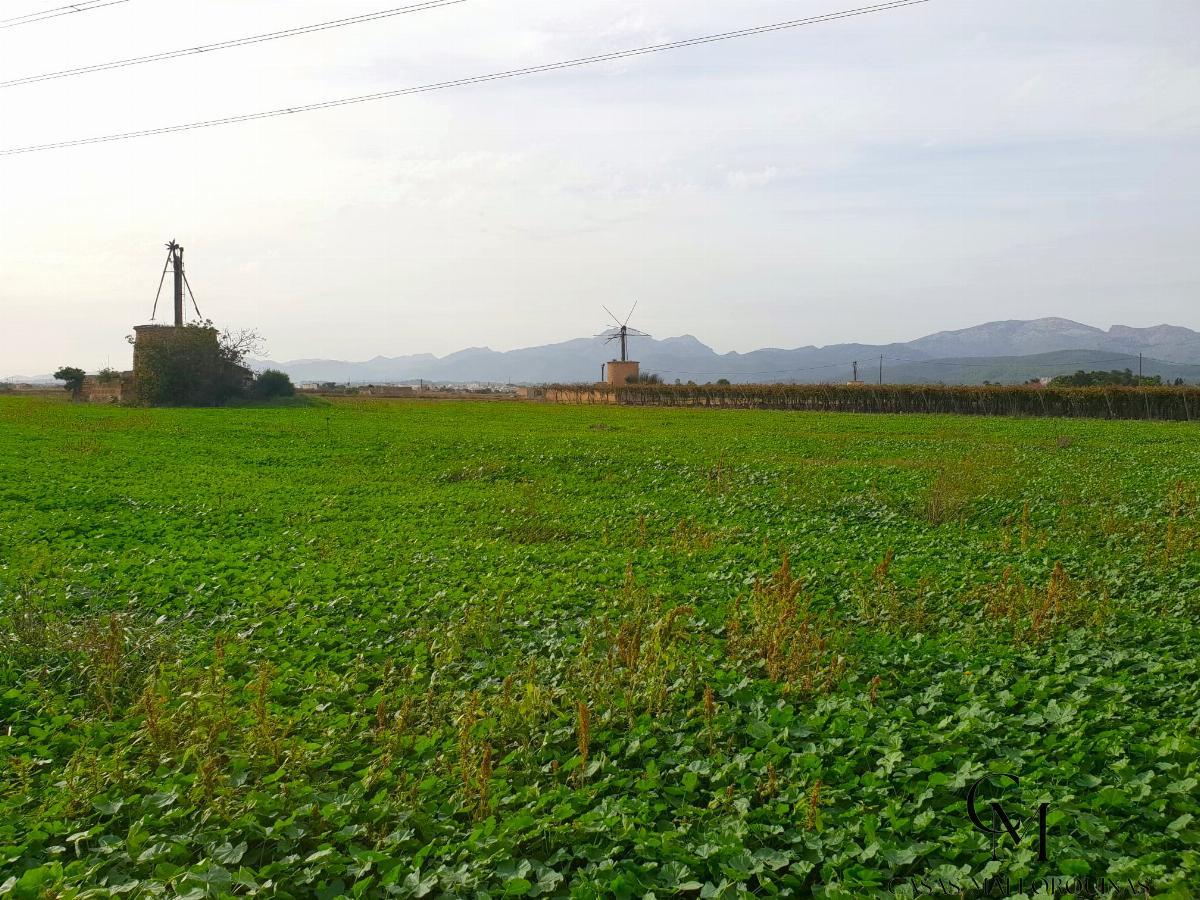 For sale of land in Sa Pobla
