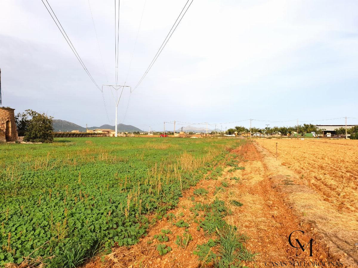 For sale of land in Sa Pobla