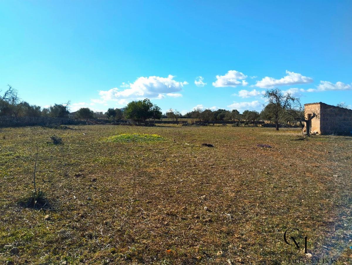Ground